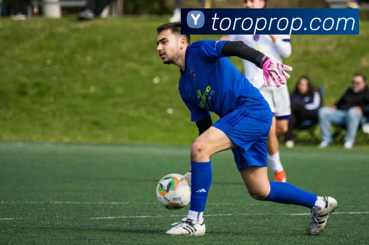 火狐官方网站平台生态图